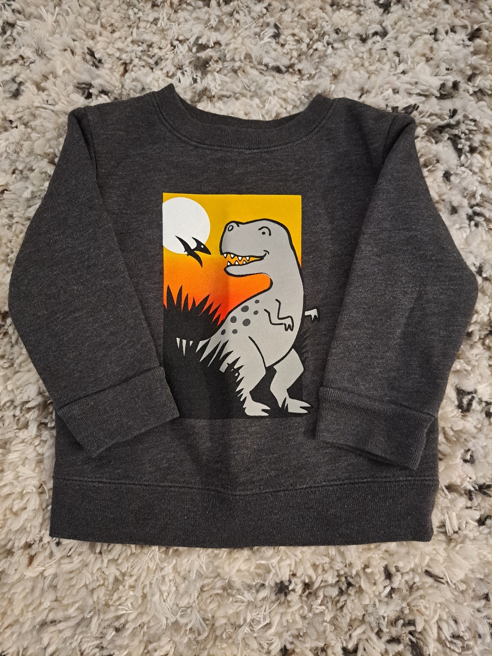 Garanimals Charcoal Gray Dino Sunset Sweatshirt